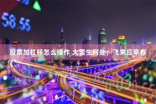股票加杠杆怎么操作 大雪生何处，飞来应早春