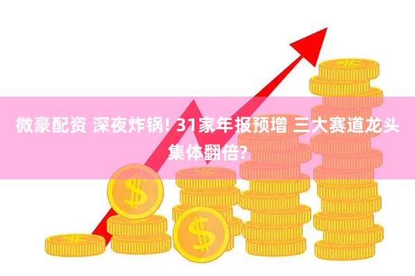 微豪配资 深夜炸锅! 31家年报预增 三大赛道龙头集体翻倍?