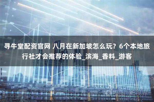 寻牛堂配资官网 八月在新加坡怎么玩？6个本地旅行社才会推荐的体验_滨海_香料_游客